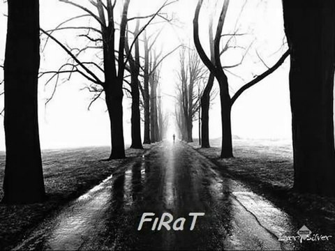 Bir Kara Sevda (Erdal Güney)