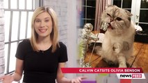 Calvin Harris Calls Taylor Swifts Cat A Monster After Doing What?!