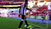 Neymar - 20112012 Goals & Skills - Prince of Brazilian football HD