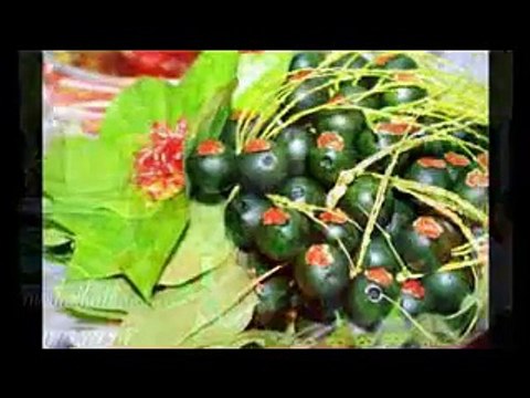 Cho thuê nhạc sống đám cưới HOÀNG HẢI 0908111138