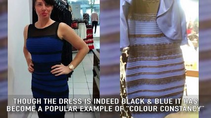 10 Mind Blowing Optical Illusions