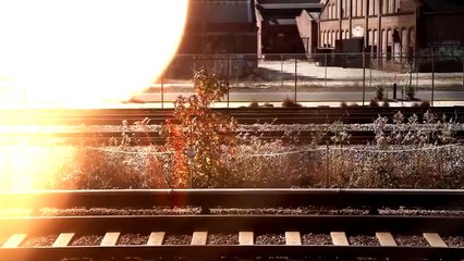 Cocaine ★ The Drug of the rich and Sexy ★ Full Documentary 2015 720p