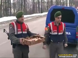 Uludağ Yolunda Sahipsiz Köpekleri Besleyen Türk Askerleri