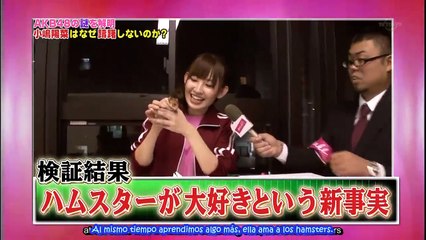 Shukan AKB episodio 64 sub español - 2010.10.08
