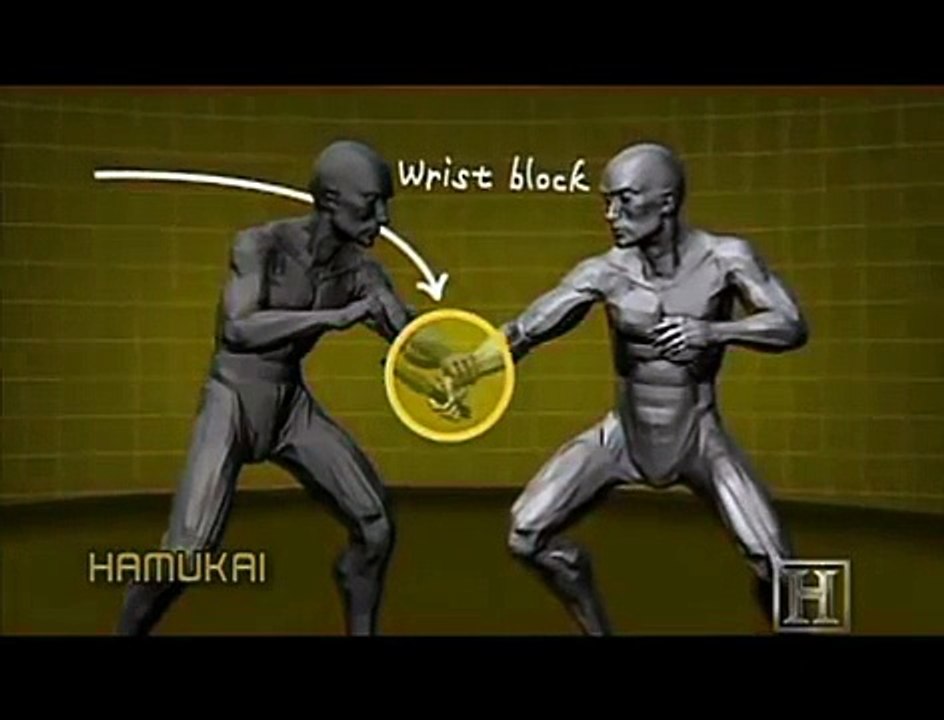 Fighting techniques human-weapon-ninjutsu kung fu
