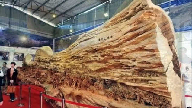 THIS LOOKS LIKE AN OLD ROTTING TREE, BUT LOOK CLOSER AND HAVE YOUR MIND BLOWN