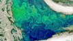 Phytoplankton Bloom From Space Looks Like Work Of Art