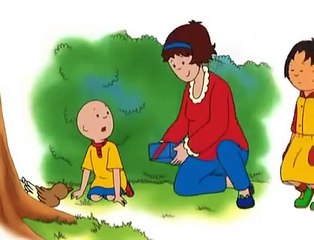Caillou El Pajarito Discovery kids latino en español latino