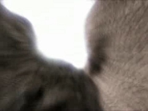 Trailer Black Mesa Source [HL² Mod]