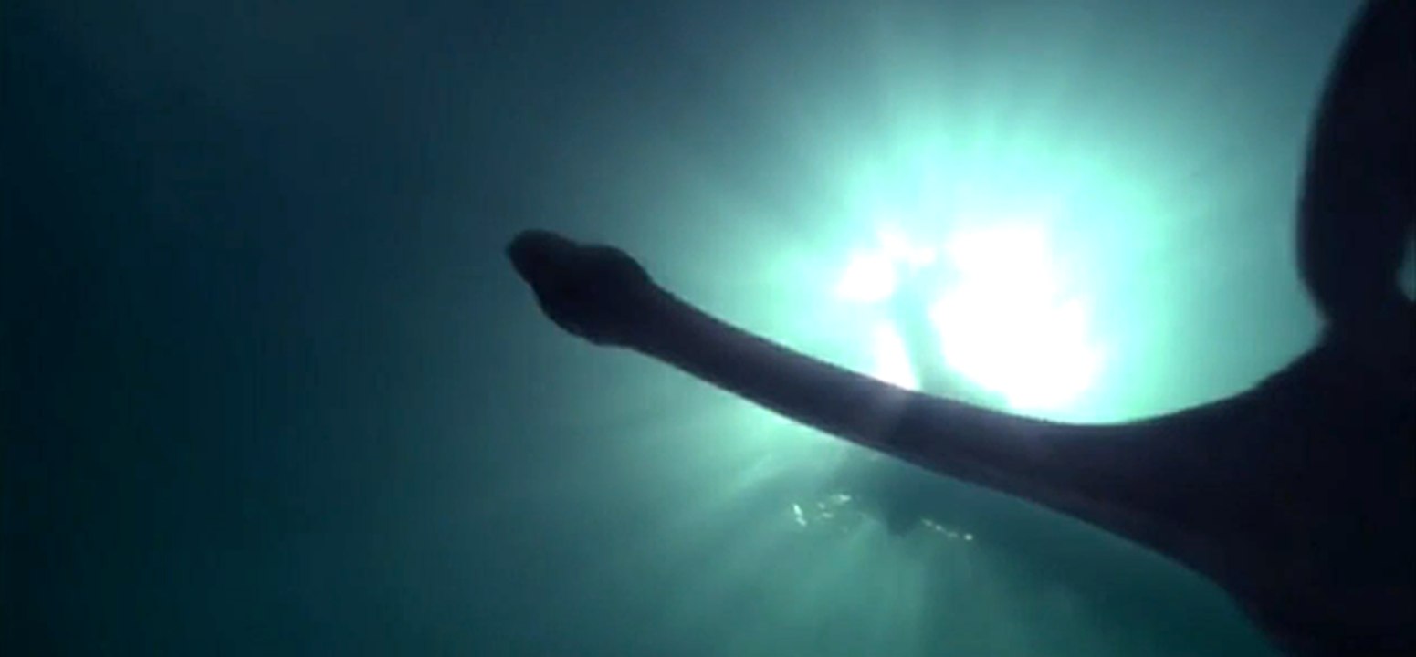 Attaque filmée du MONSTRE du LOCH NESS !!!