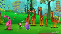 Finger Family Giraffe | ChuChu TV Animal Finger Family Nursery Rhymes Songs For Children