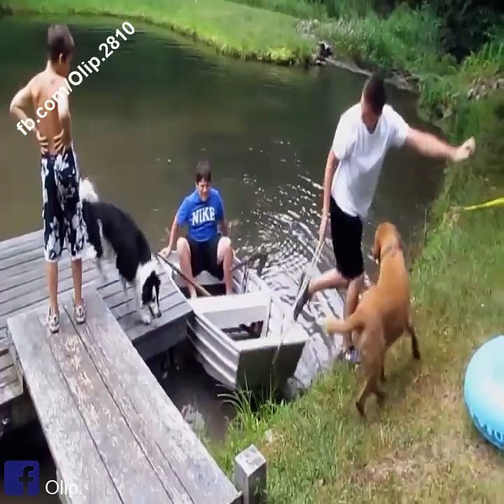 LOL, funny-3