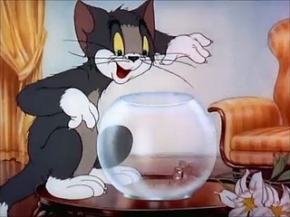 Puss n Toots_Best Tom and Jerry Cartoon_22