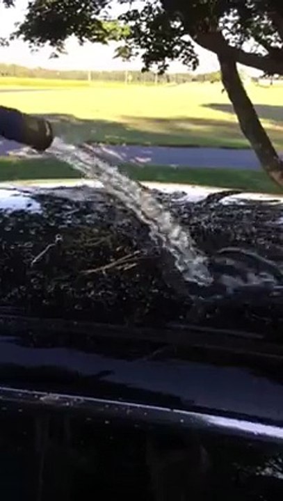 Hi Def Auto Spa - The water reaction in Pearl Nano Coatings