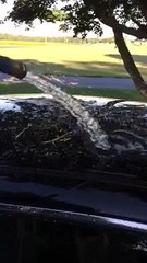 Hi Def Auto Spa - The water reaction in Pearl Nano Coatings