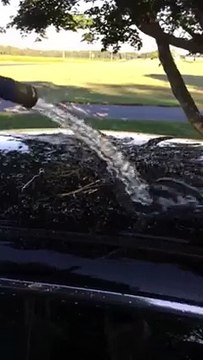 Hi Def Auto Spa - The water reaction in Pearl Nano Coatings