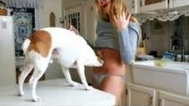 Ultimate Funny Fails Win Compilation 2015 - Funny Videos Part 88