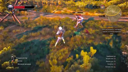 Дружеская услуга и проклятье Аннабель [Witcher 3, часть 15]