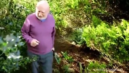 Wonderful World Of Cats - Domestic Cats Documentary 2015 1080p-HD