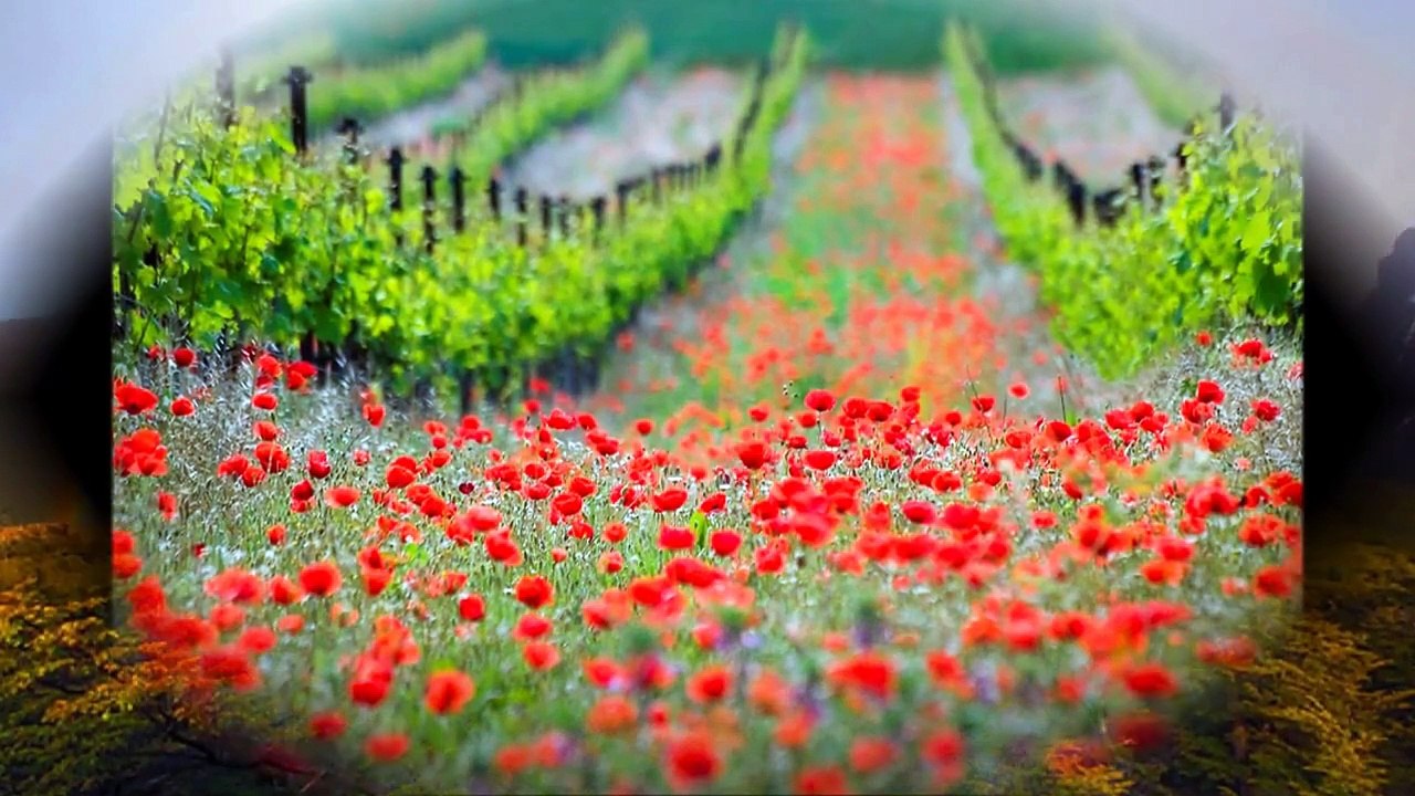 【Healing Cafe】サブリミナル効果でRelaxationⅠ~心身の安定のため、まず瞑...