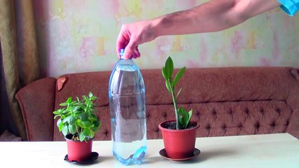 10 СОВЕТОВ ДЛЯ УПРОЩЕНИЯ ЖИЗНИ