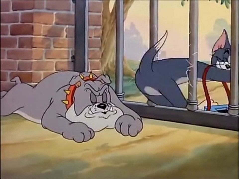 Cat Fishin_Best Tom and Jerry Cartoon_33