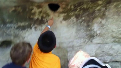 Il met sa main dans un trou rempli d'araignées. Dingue!