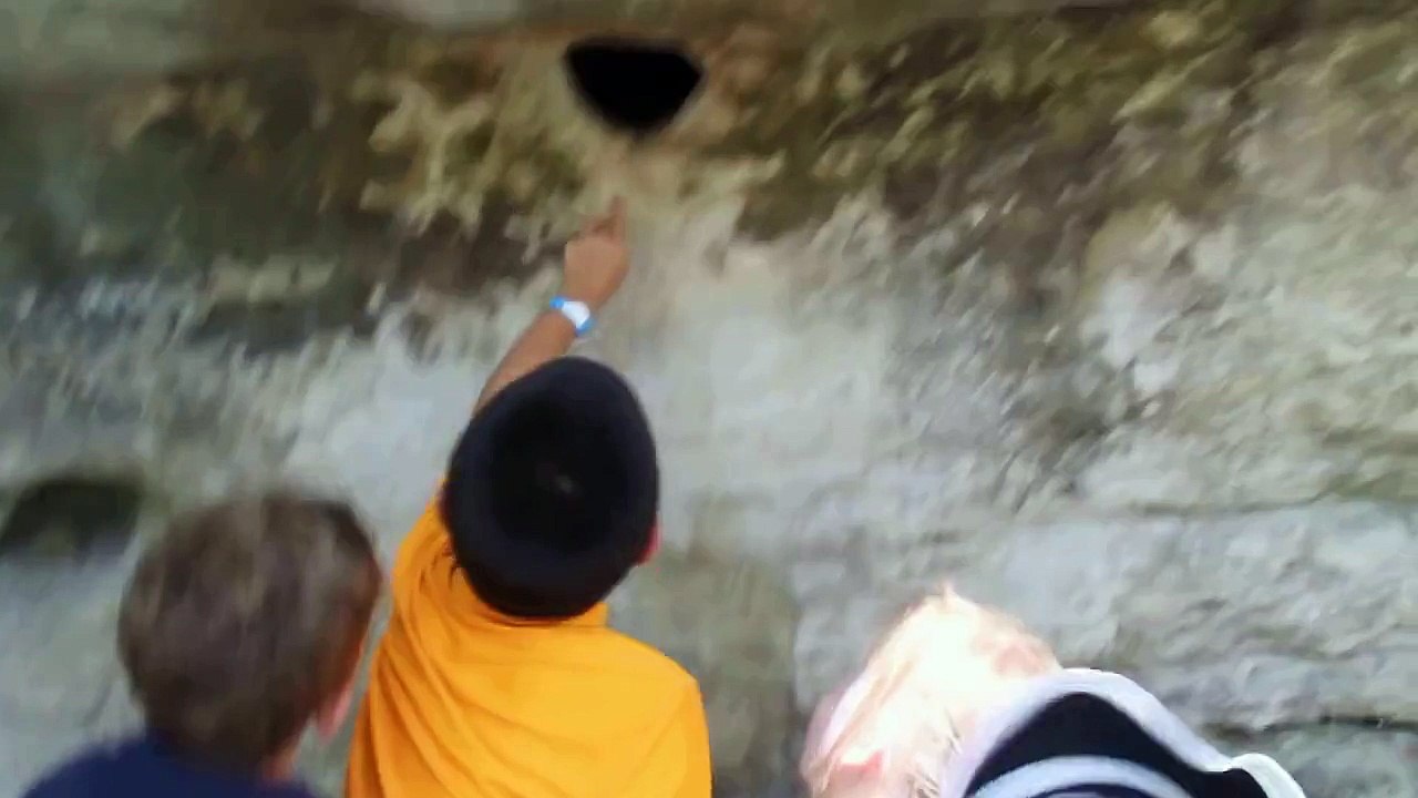 Il met sa main dans un trou rempli d'araignées. Dingue!