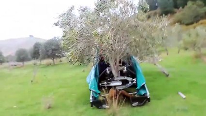 Incredible olive harvest machine