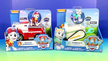 Paw Patrol Marshall & Everest & Imaginext Fire Rescue Disney Pixar Cars Lightning McQueen