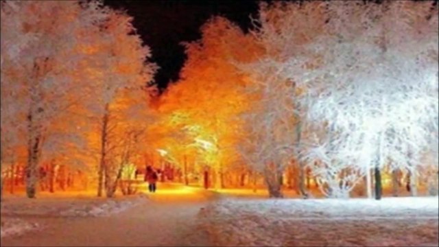 Ștefan Hrușcă - Florile dalbe ~ COLINDE ROMÂNEȘTI