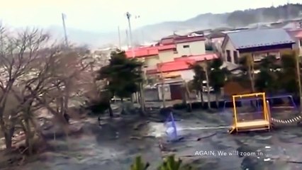 During Japan Tsunami a strange creature was caught on camera - real footage
