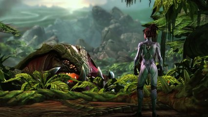 Starcraft 2 - Heart of the Swarm - The Movie Extended Cut - ALL HD Cinematics & MORE!