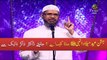 Jashn E Eid Milad Un Nabi ﷺ Manana Kaisa Hai  By Dr Zakir Naik Must Watch & Share