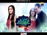 Mujhe Kuch Kehna Hai Geo Tv Drama Episode 14 Full (17 December 2015)