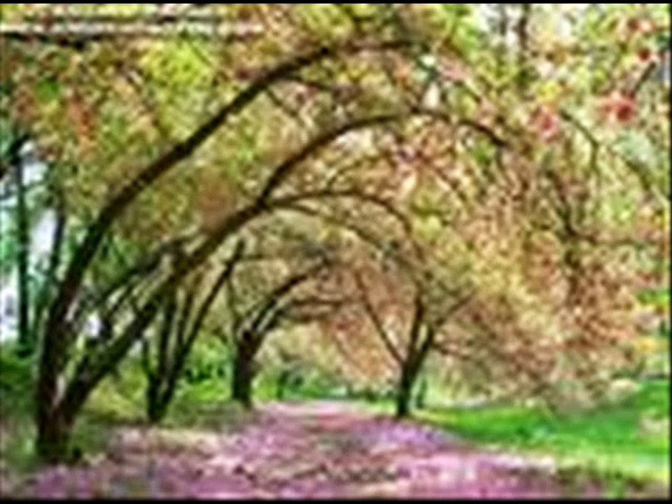 a watan pak watan pak watan pak watan a watan pak watan a mere pyare watan