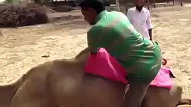 اچھا نہیں ہوا اس بیچاری کے ساتھ