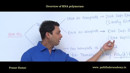 Overview of RNA polymerase_Full-HD
