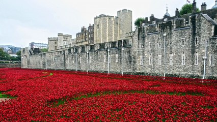 What did they say 31