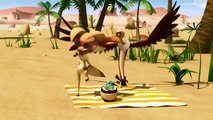 Oscar's Oasis Episode 14 Beach Dream