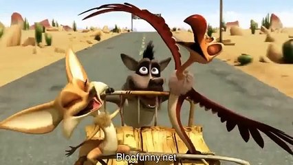 Oscar's Oasis Episode 09 Chicken Charmer