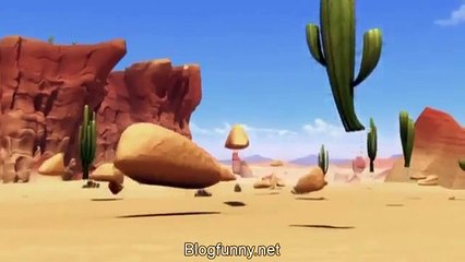 Oscar's Oasis Episode 41 Egg Over Easy