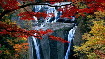 Привітання з Днем захисника Вітчизни