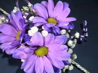 POUVOIR DES FLEURS