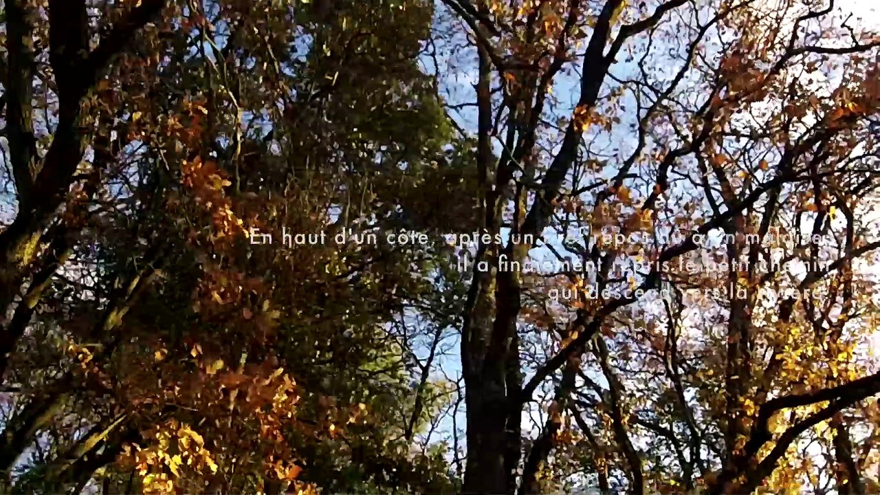 LE FANTÔME DE JOHN - EPREUVE # 3 - "La mort tout le monde s'en fout, le vide qu'elle laisse, ça..."