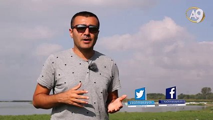 Gece göç eden kuşların sırrı