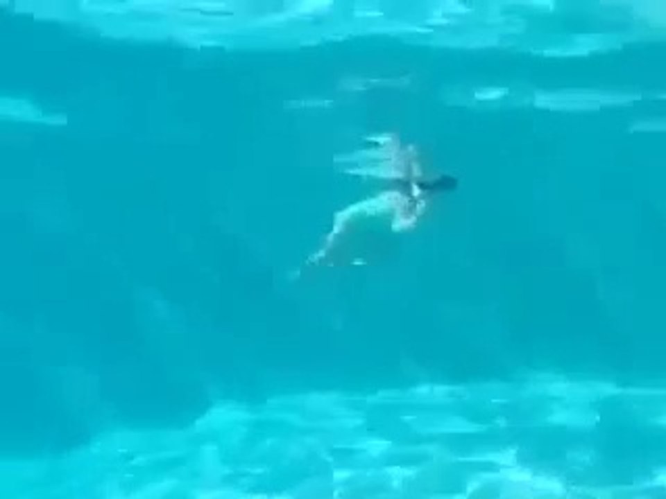 напарница Ихтиандра