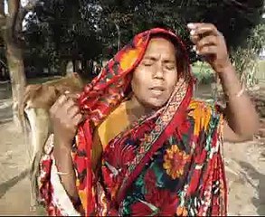 Bsf Nirjaton Chuadanhga Voxpop 3 Pkg