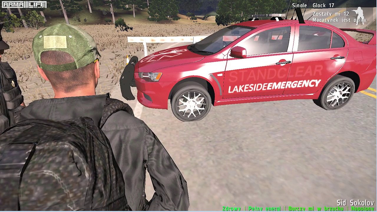 Arma 3 (240)