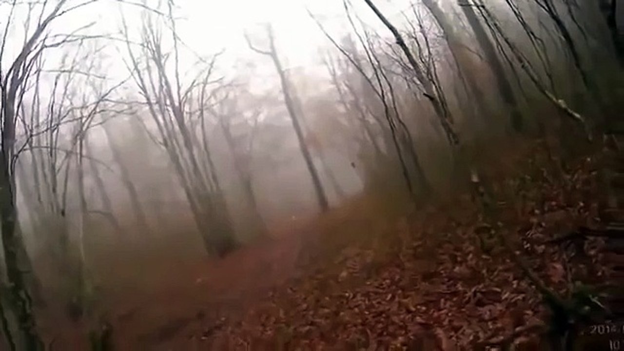 прикол! ОХОТА на кабана